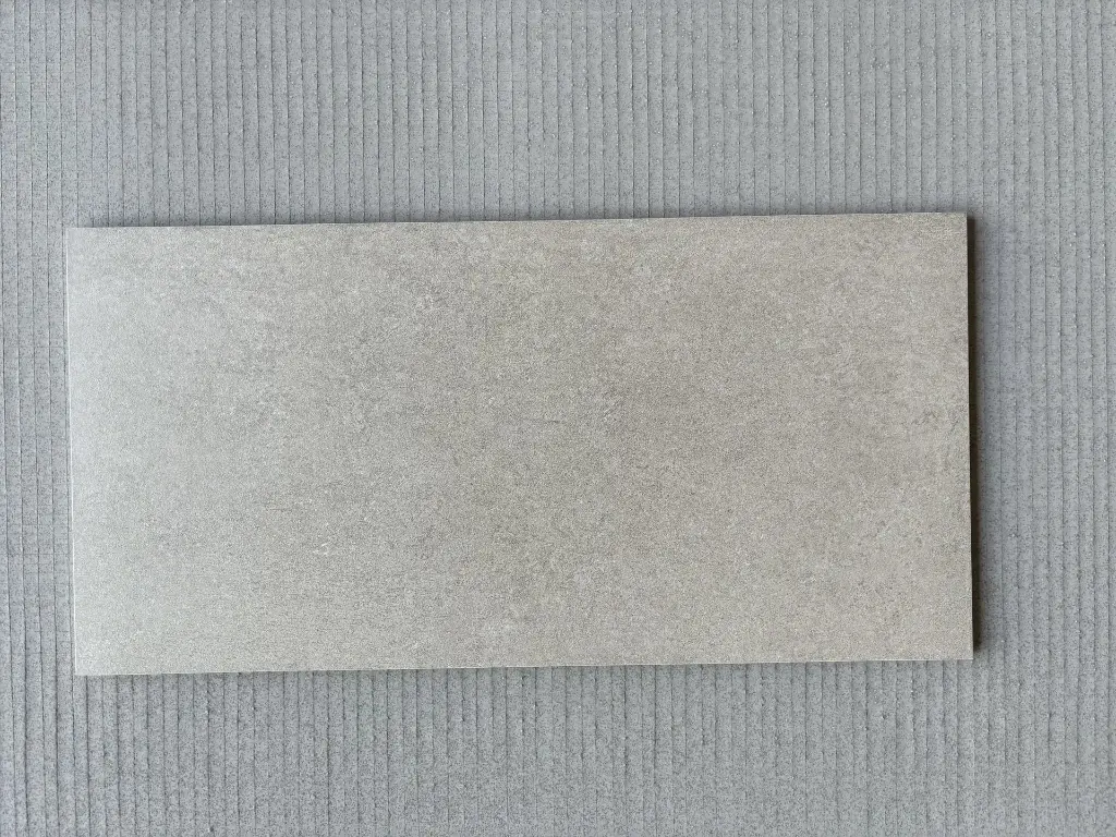 Fiordo Aventis Titanium 30x60cm